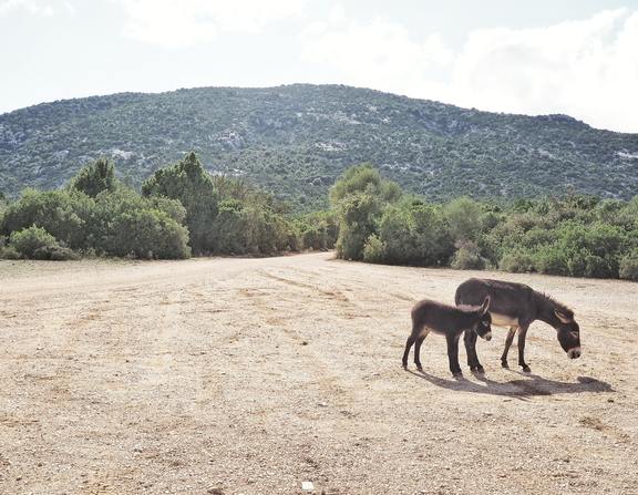 Large umanoide elf3 l0k5ec unsplash