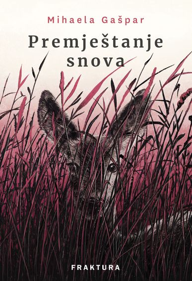 Book premje tanje snova